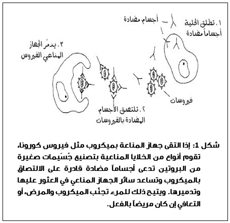  />تتعرف الخلايا المناعية في الجسم على هذه الميكروبات الميتة كغزاة وتتعلم كيفية محاربتها.  وإذا تعرض الجسم لعدوى حقيقية لاحقة، فإنها تتعرف بسرعة وقوة على الميكروب وتحاربه وتتخلص منه حتى ولو كان مختبئاً داخل خلية<span dir=