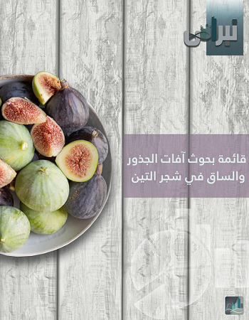 إحصائيات آفات جذور وساق شجر التين