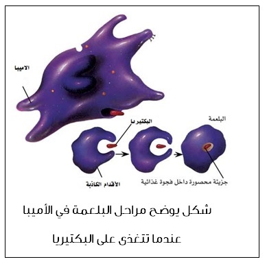  /></p>
<p style=