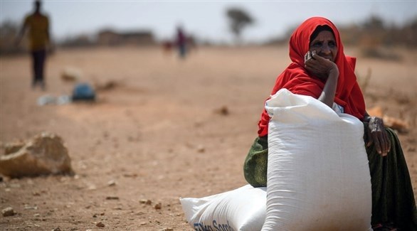 الأزمة الغذائية في اليمن
