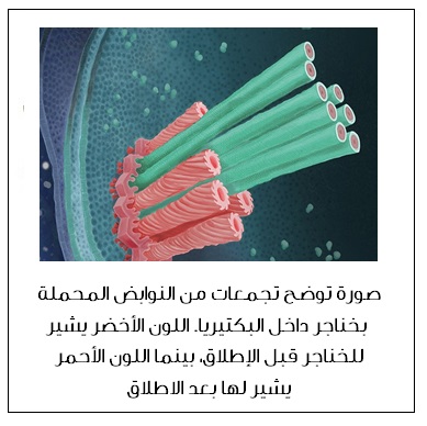  /></p>
<p style=