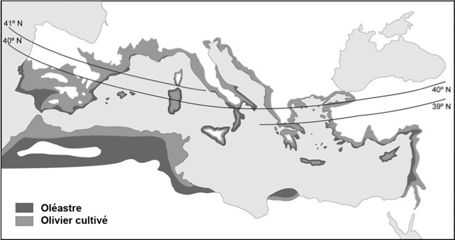  /></p>
<p style=