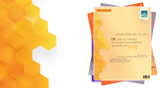 دراسات على النحل اليمني