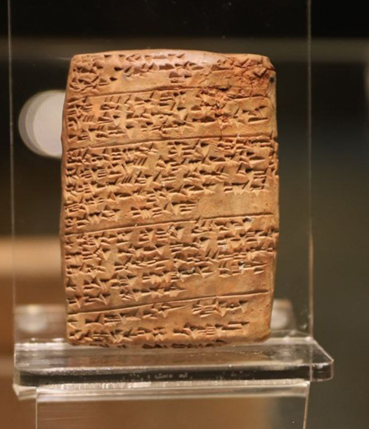 حين تضيء العين أمراض الرأس