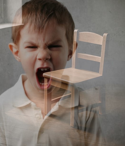 السلوك العدائي العنيف والسمات التوحدية
