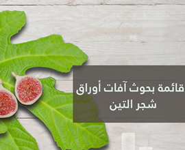 إحصائيات بحوث ٓافات ورق شجر التين