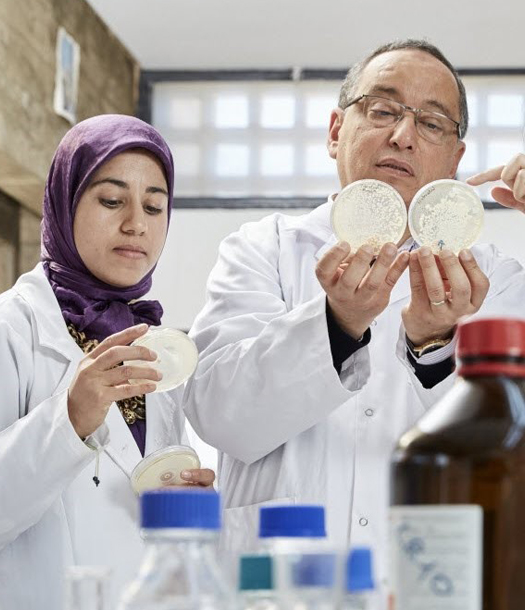 باحث مغربي يطور مضاداً حيوياً للبكتيريا المقاومة