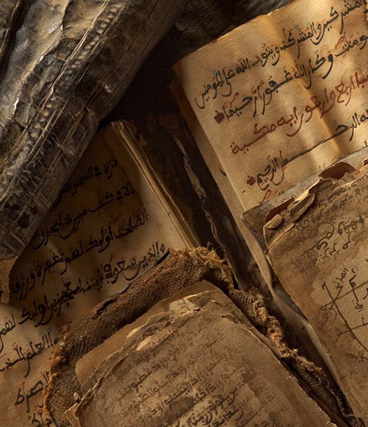 كتاب : المعجم التاريخي للغة العلمية العربية