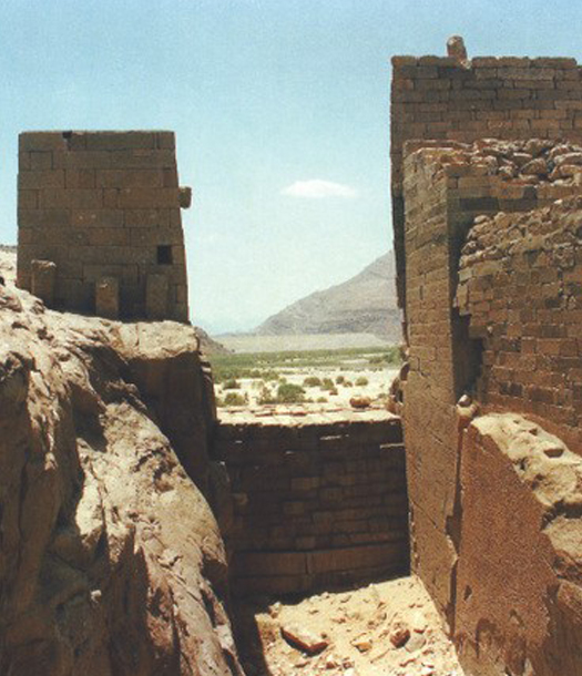 اليمنيون سادة الماء في العالـم