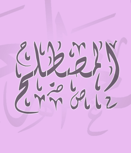 ضرورة المصطلح