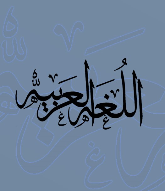 اللغة مفتاح لإصلاح التعليم والبحث العلمي