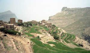  width=