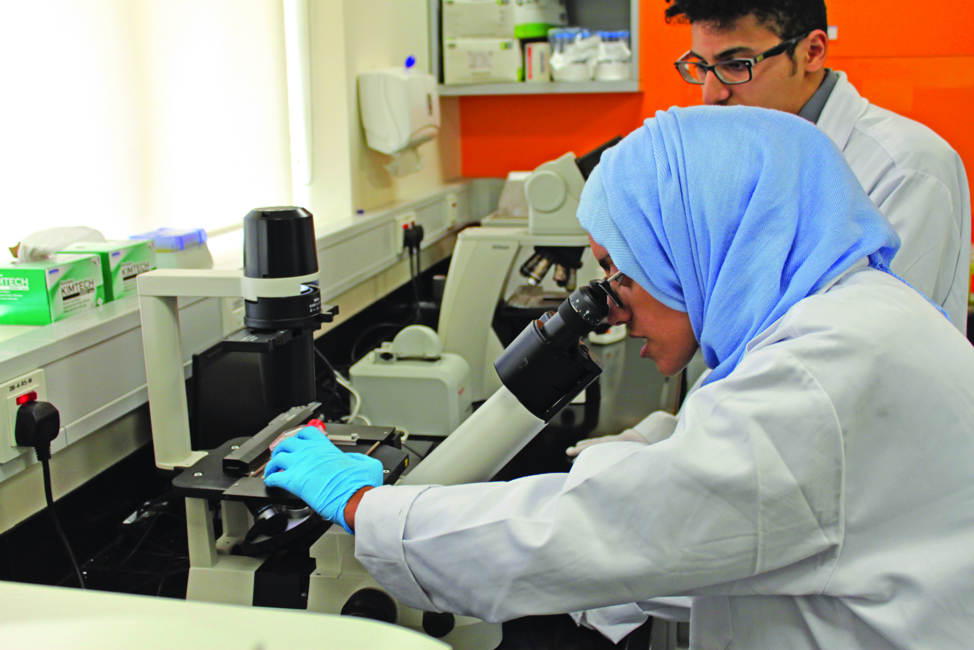 إنشاء مختبرات ومشاريع بحثية جديدة في الطب الحيوي