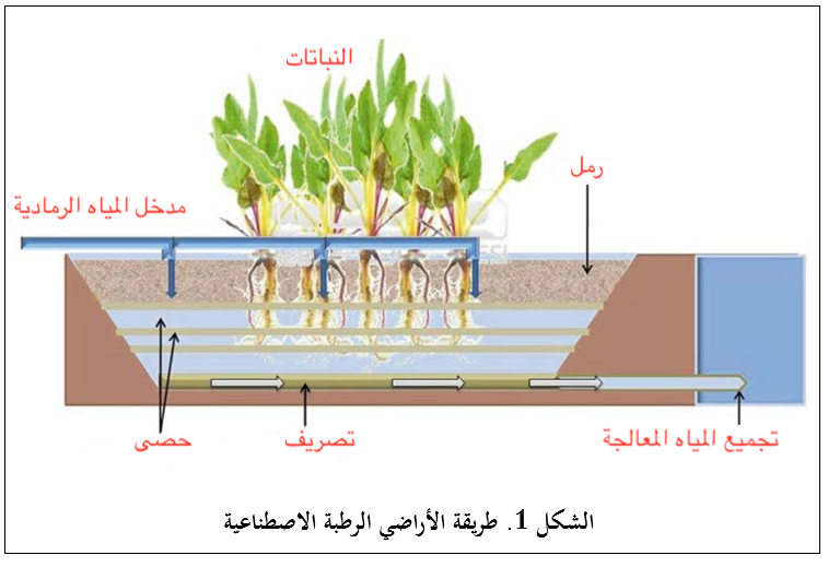  width=
